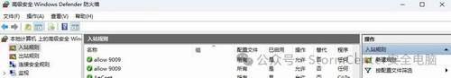 Windows防火墙里的Allow 9009